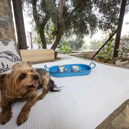 Peaceful With Pool And Garden In Bodrum Βίλα